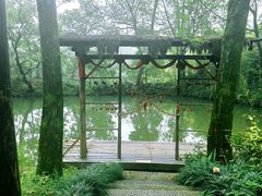 -西溪国家湿地公园