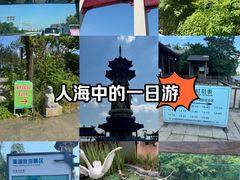 -溱湖国家湿地公园