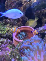 -Zoolung Zoolung动物主题公园(海信广场店)