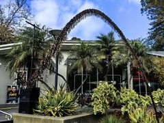 -墨尔本皇家植物园