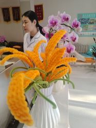 -Dr.林醫生产后修复·配方产康店(南京大厂店)