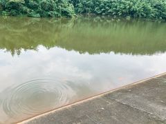 -滴水岩森林公园