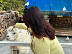 -J Create城市露营咖啡·简餐·宠物(上海动物园店)