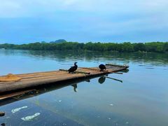 -桂林两江四湖景区