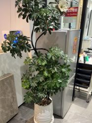 -LJOY丽锦造型·烫发染发