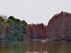 -上海海湾国家森林公园