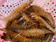 -港畔赶海蒸汽海鲜烧烤自助(仙螺岛店)