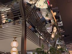 -桂满陇·海市蜃楼·黑金(国金店)