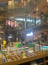 -卡通尼·Safari非洲探索乐园·生日会(金桥国际商业广场店)