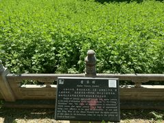 -汤阴县羑里周易博物馆