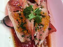 -上海新锦江大酒店