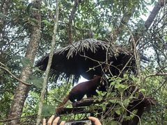 -普洱太阳河森林公园