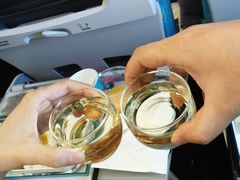 -班达拉奈克国际机场