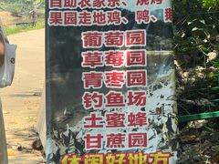 -凤岗南门山森林公园