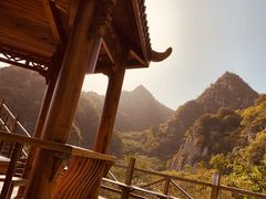 -大岭沟猕猴桃谷风景区