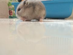 -神画光影影城(温岭万寿路店)