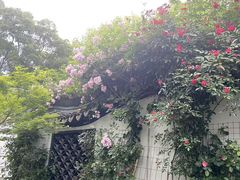 -绮园景区