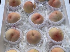 -叁宫礼水果批发仓储店(梅江店)