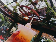 -The Grounds of Alexandria