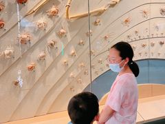 -中国湿地博物馆