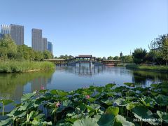 -西海子公园