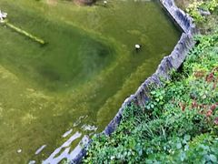 -磐安舞龙峡景区