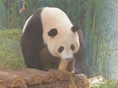 -杭州动物园