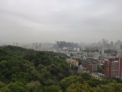 -福道