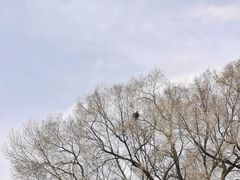 -五台山风景区