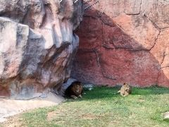 -无锡动物园·太湖欢乐园