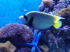 -成都浩海立方海洋公园