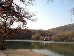 -紫霞湖公园