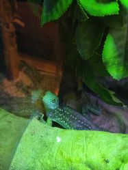 -酷嗒动物文化乐园(cutezoo西溪乐天城店)