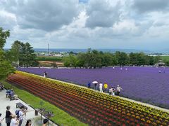 -富田农场