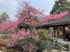 -杭州植物园
