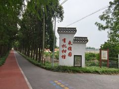 -上海长兴岛郊野公园