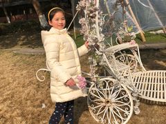 -杭州香格里拉饭店