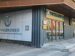 -中农国际动物医院24小时·猫科·骨科·急重症中心