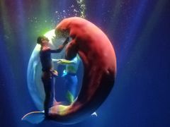 -芜湖新华联大白鲸海洋公园