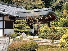 -西芳寺(苔寺)