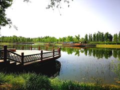 -东郊湿地公园