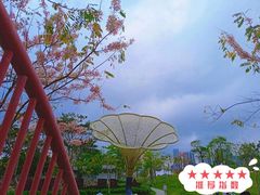 -白石龙音乐公园