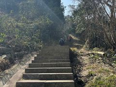 -北仑森林植物园