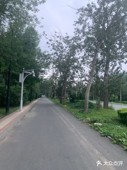 天津水上公园图片