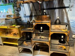 -酷嗒动物文化乐园(cutezoo西溪乐天城店)