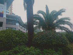 -上海美食(申贵路店)