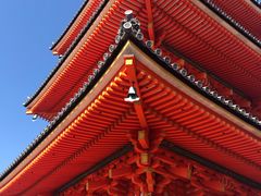 -有栖山 清光院 清水寺
