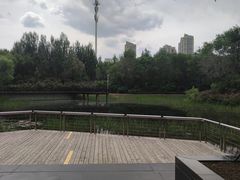 -群力丁香公园
