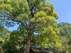 -五泄景区