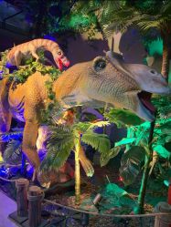 -恐龙探索乐园(磁器口店)